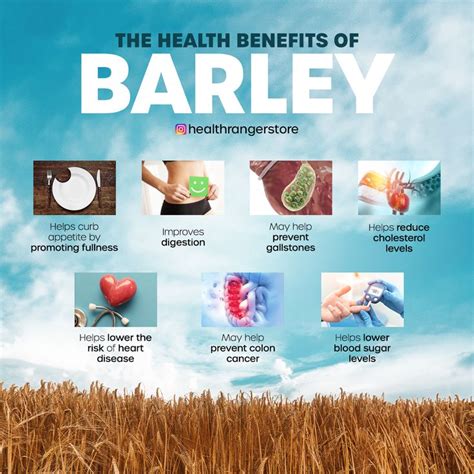 benefits of barley malt extract.